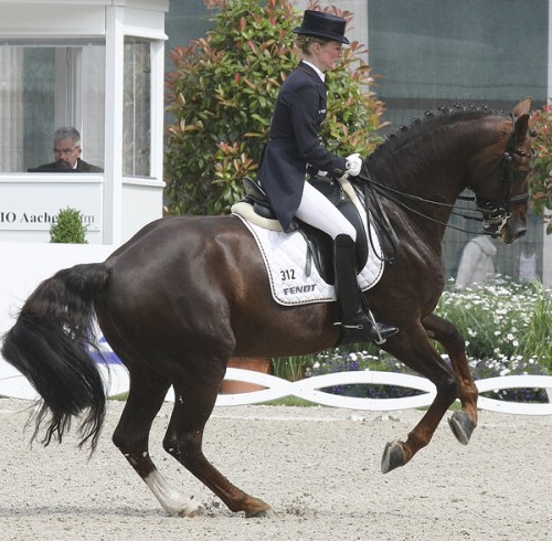 Total balance and confidence in he pirouette with a beautiful contact on the rein ©Ilse Schwarz dressage-news.com