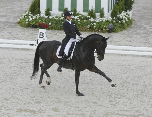 Adrienne Lyle and Wizard splash with confidence ©Ilse Schwarz dressage-news.com