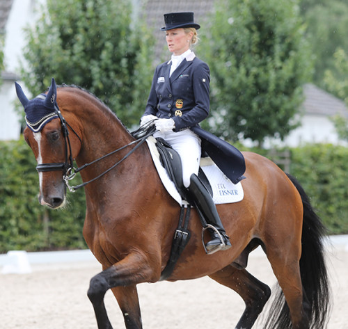 Helen Langehanenberg and Suppenkasper are a study in concentration as they enter the stadium. They would finish fifth in the Prix St Georges with 72.921 percent