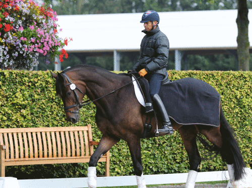 Steffen Peters and Legolas practice their relaxation ahead of their performance in the stadium at Aachen ©Ilse Schwarz/dressage-news.com