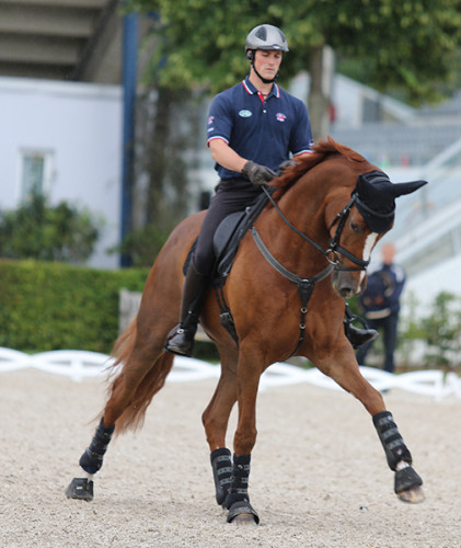 Michael Eilberg and Woodlander Farouche demonstrate plenty of reach in a schooling canter half pass © Ilse Schwarz/dressage-news.com