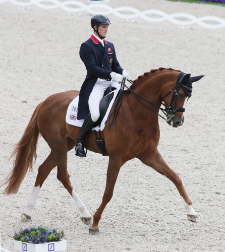 Michael Eilberg and Woodlander win the Prix St Georges © Ilse Schwarz/dressage-news.com