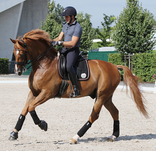 Severo Jesus Jurado Lopez and the gelding by Lord Loxley, Lorenzo, caught the eye of onlookers on the first day of schooling© Ilse Schwarz/dressage-news.com