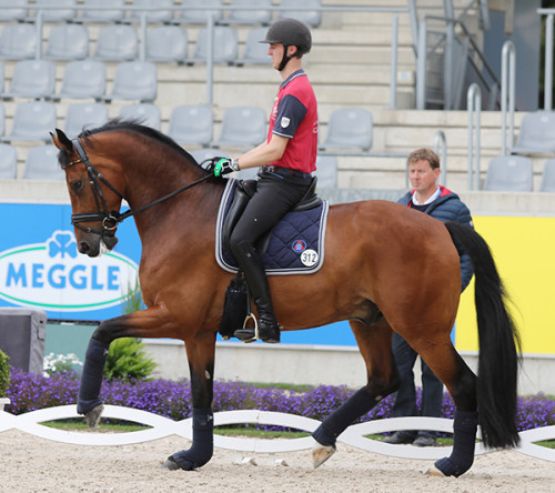 Sönke Rothenberger and Cosmo under the watchful eye of his father Sven Rothenberger © Ilse Schwarz/dressage-news.com