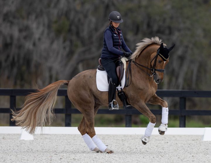 Adrienne Lyle To Debut Helix Sunday Dressage News