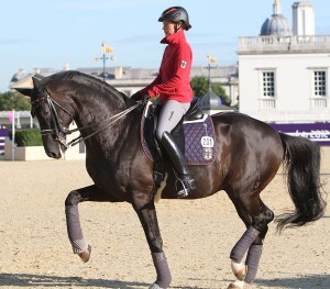 Dressage Stars Prepare to Shine at Olympics-Photo Gallery - Dressage-News