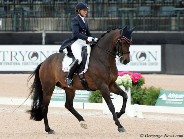 Jill Irving Rides Arthur to Personal Best Score to Win Ottawa CDI3 ...