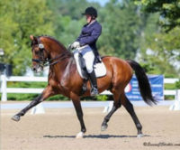 Abtaham Pugh and Elfenperfekt. File photo. SusanJStickle.com