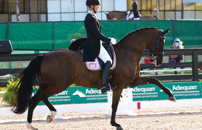 Étrille finlandaise grand modèle équitation adulte SCHOOLING