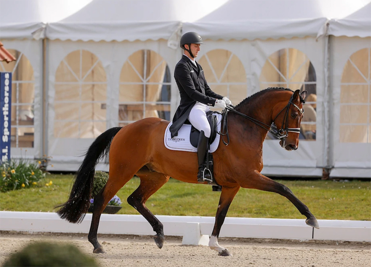 Sönke Rothenberger Grand Horses Dreams Fendi Prix & Tour Competition Only - 2nd Dressage-News CDI4* & Big in Win 9YO